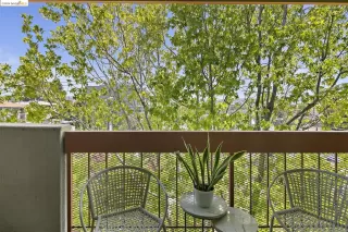 Photo #1: 41061750 Listing 