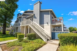 Photo #1: 41062054 Listing