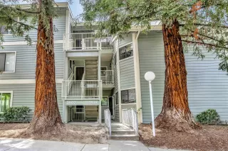 Photo #1: 41062128 Listing