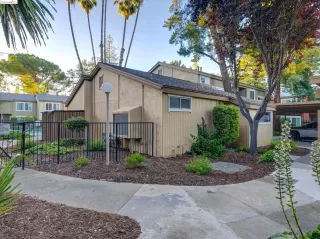 Photo #3: 41062158 Listing