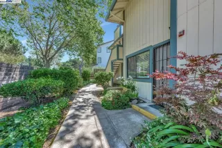 Photo #1: 41062162 Listing 