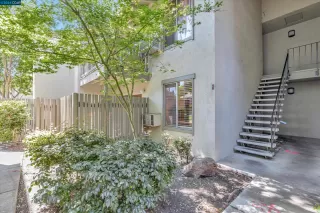 Photo #1: 41062400 Listing