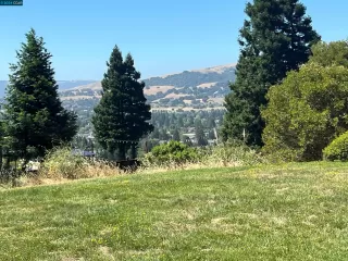 Photo #1: 41062568 Listing