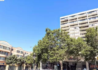 Photo #1: 41062607 Listing