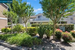 Photo #1: 41062959 Listing