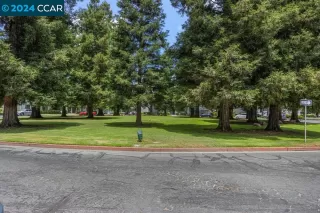 Photo #1: 41063406 Listing