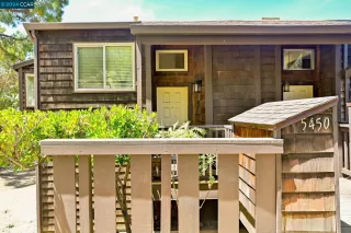 Photo #1: 41063642 Listing 