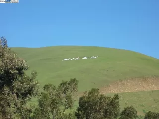 Photo #2: 41063794 Listing