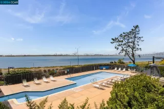 Photo #1: 41063800 Listing 