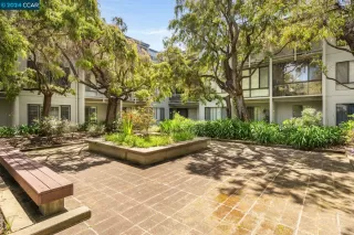 Photo #3: 41063800 Listing 