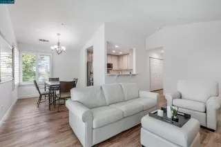 Photo #5: 41063813 Listing