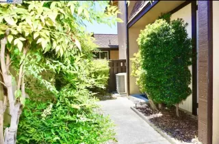 Photo #1: 41064281 Listing