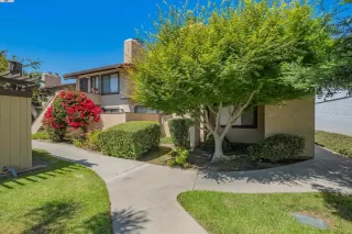 Photo #1: 41064413 Listing