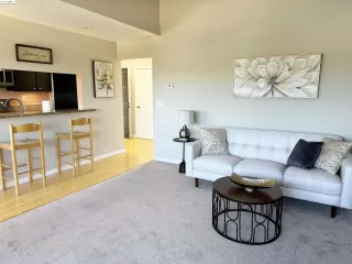 Photo #1: 41064819 Listing