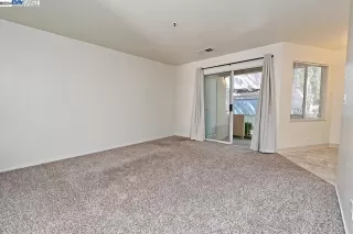 Photo #1: 41065025 Listing 