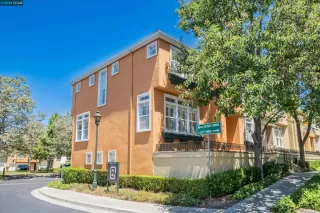 Photo #1: 41065294 Listing 