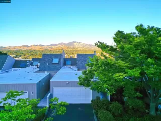 Photo #1: 41065692 Listing