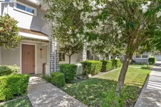 Photo #1: 41065877 Listing 