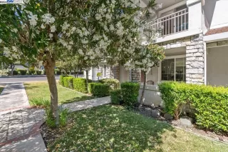 Photo #2: 41065877 Listing 