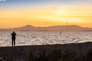 Photo #6: 41065900 Listing 