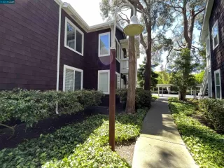 Photo #1: 41065982 Listing 