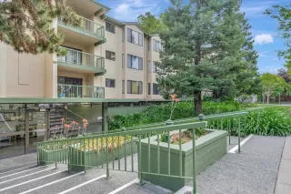 Photo #3: 41066050 Listing