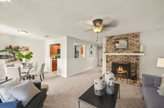 Photo #1: 41066085 Listing 