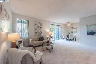 Photo #1: 41066120 Listing 