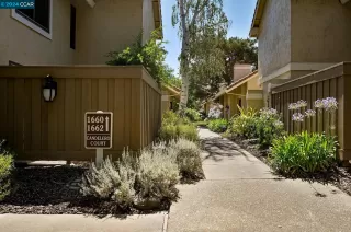 Photo #1: 41066135 Listing