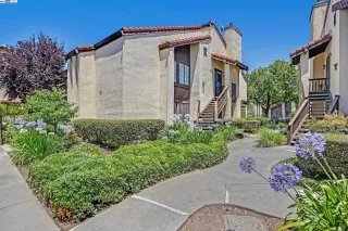 Photo #2: 41066186 Listing 