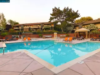 Photo #2: 41066286 Listing