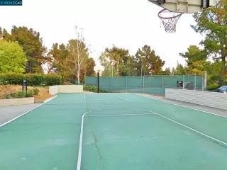 Photo #5: 41066286 Listing