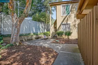 Photo #1: 41066322 Listing