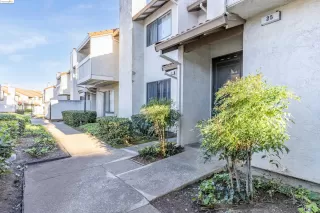 Photo #1: 41066516 Listing