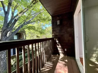 Photo #5: 41066600 Listing