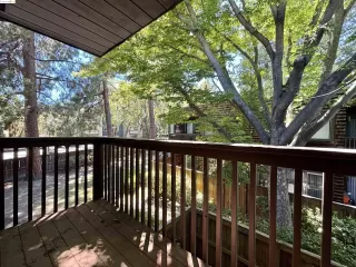 Photo #6: 41066600 Listing