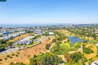 Photo #1: 41066714 Listing 