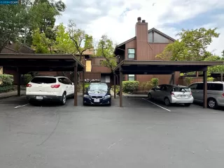 Photo #3: 41066778 Listing