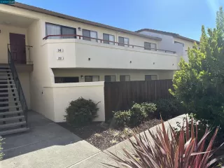 Photo #1: 41066951 Listing