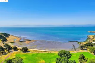 Photo #1: 41066952 Listing 