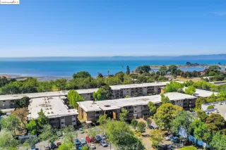 Photo #6: 41066952 Listing 