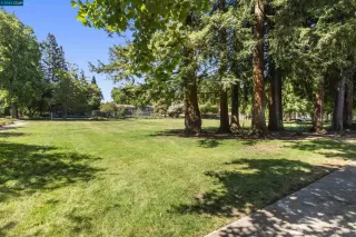 Photo #2: 41066955 Listing 