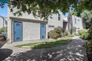 Photo #1: 41066956 Listing 