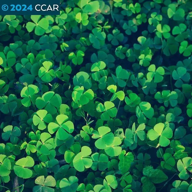 MLS: 41067094 Condo For Sale