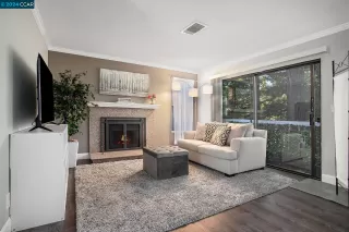 Photo #1: 41067100 Listing