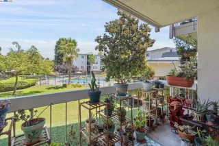 Photo #6: 41067113 Listing