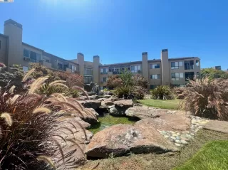 Photo #6: 41067212 Listing