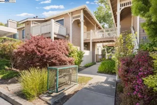 Photo #3: 41067254 Listing