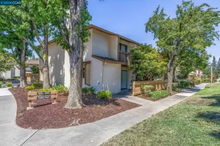 Photo #1: 41067317 Listing