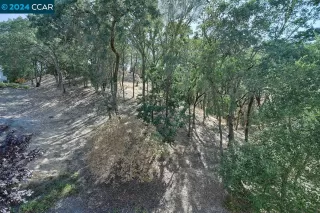 Photo #6: 41067639 Listing 